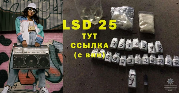 прущие грибы Касимов