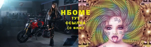 PSILOCYBIN Алзамай