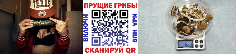Галлюциногенные грибы Psilocybe  Клин 